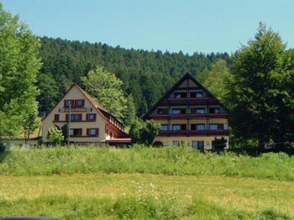 Gasthof Erlenhof Alpirsbach Kültér fotó