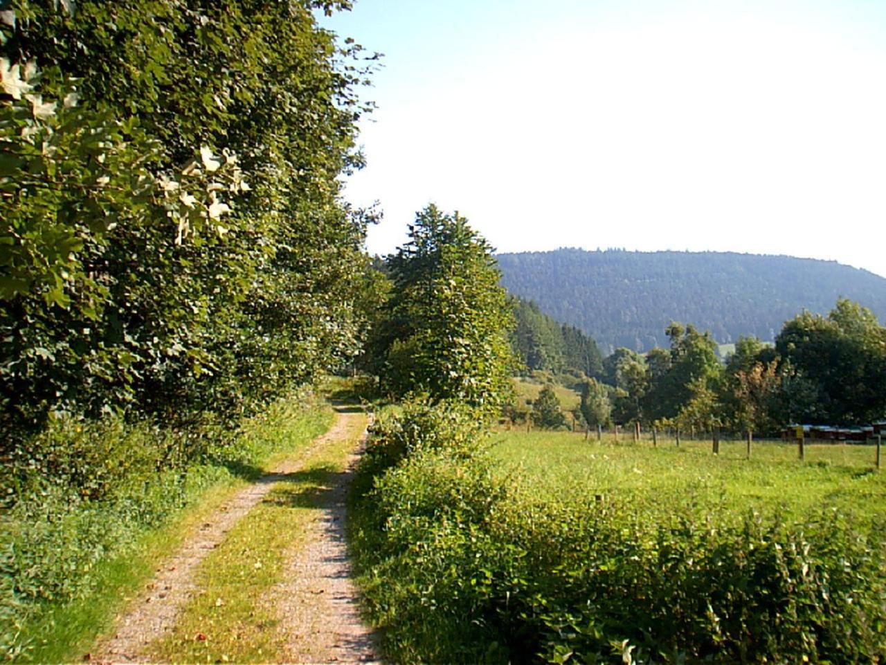Gasthof Erlenhof Alpirsbach Kültér fotó
